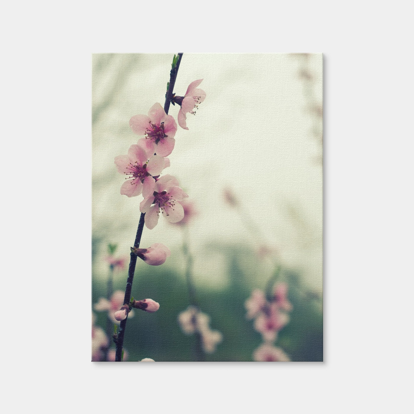 AUTO-MOCKUP WHITE | Spring Blossom | 1 Piece | Gallery Wrap | group=3x4
