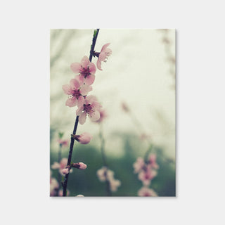 AUTO-MOCKUP WHITE | Spring Blossom | 1 Piece | Gallery Wrap | group=3x4