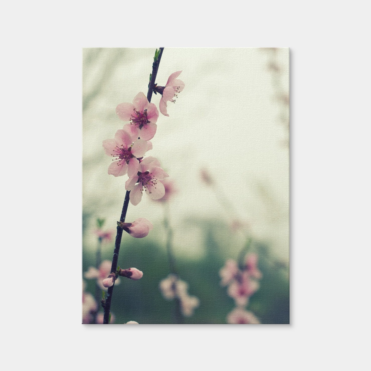 AUTO-MOCKUP WHITE | Spring Blossom | 1 Piece | Gallery Wrap | group=3x4