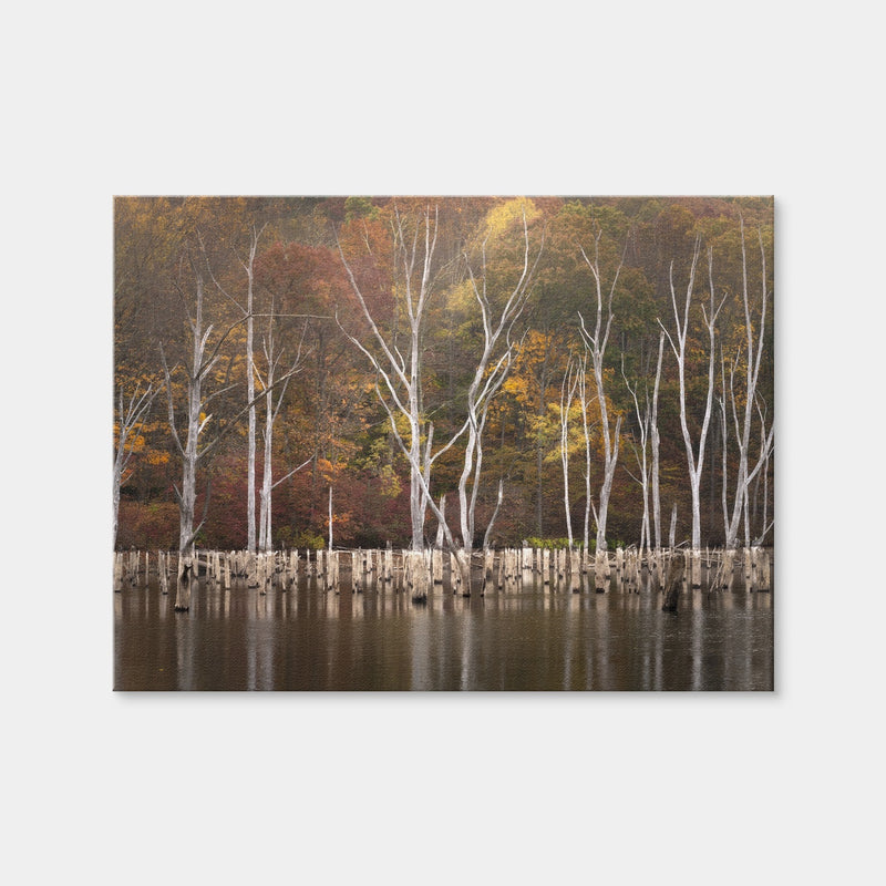 AUTO-MOCKUP WHITE | Stags Horn - Monksville Reservoir | 1 Piece | Gallery Wrap | group=4x3