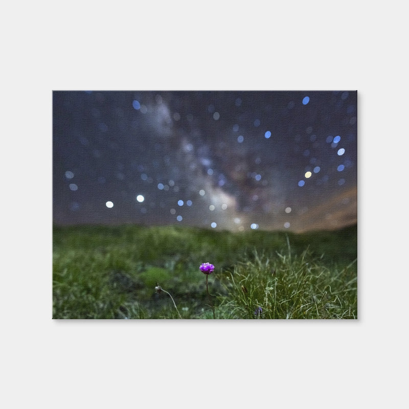 AUTO-MOCKUP WHITE | Star Studded Armerie | 1 Piece | Gallery Wrap | group=4x3