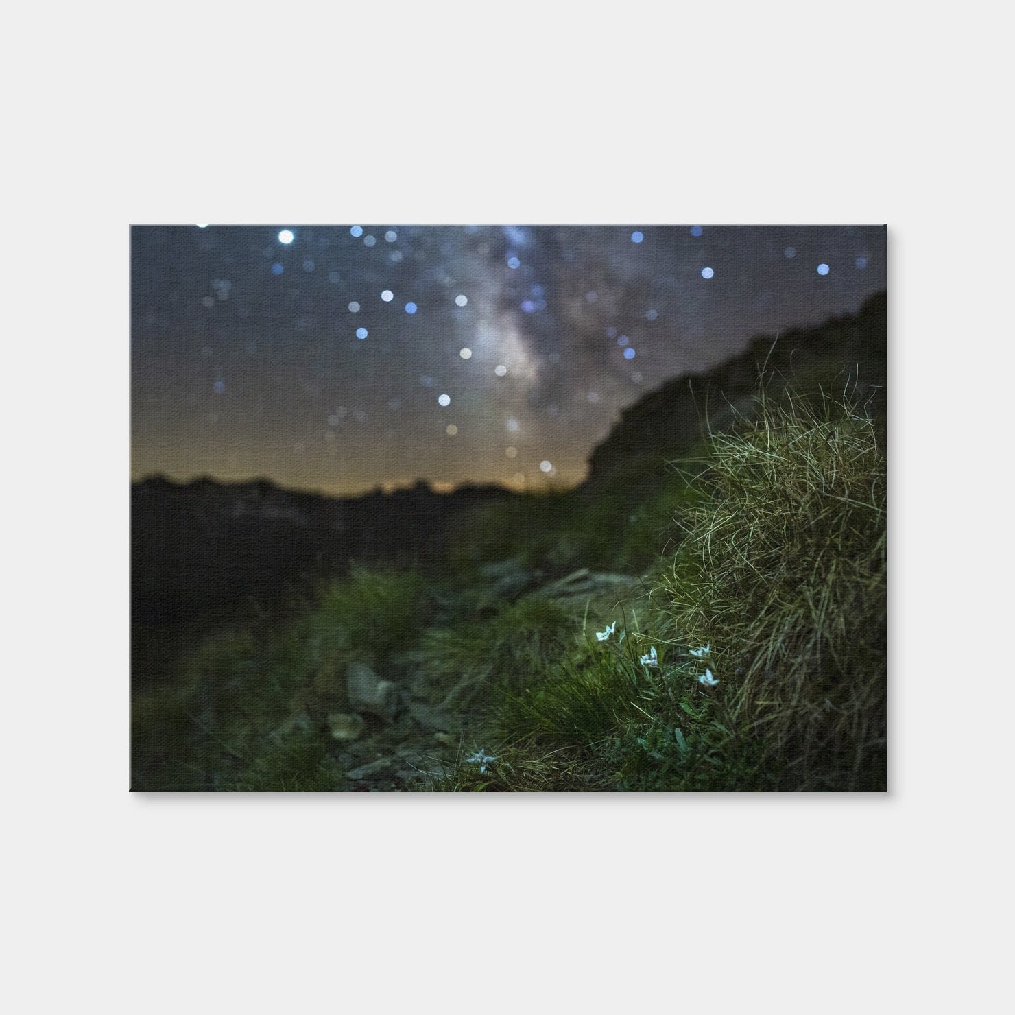 AUTO-MOCKUP WHITE | Star Studded Edelweiss | 1 Piece | Gallery Wrap | group=4x3
