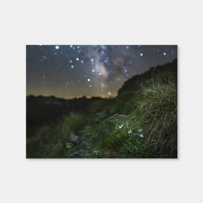 AUTO-MOCKUP WHITE | Star Studded Edelweiss | 1 Piece | Gallery Wrap | group=4x3