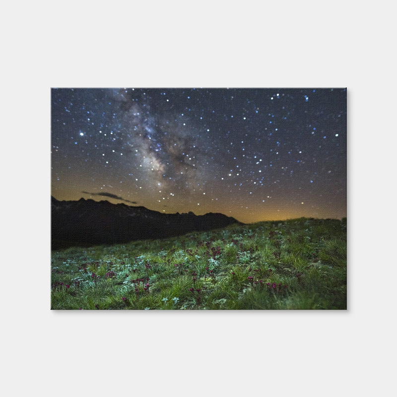 AUTO-MOCKUP WHITE | Star Studded Edelweiss and Joubarbe | 1 Piece | Gallery Wrap Canvas | group=4x3