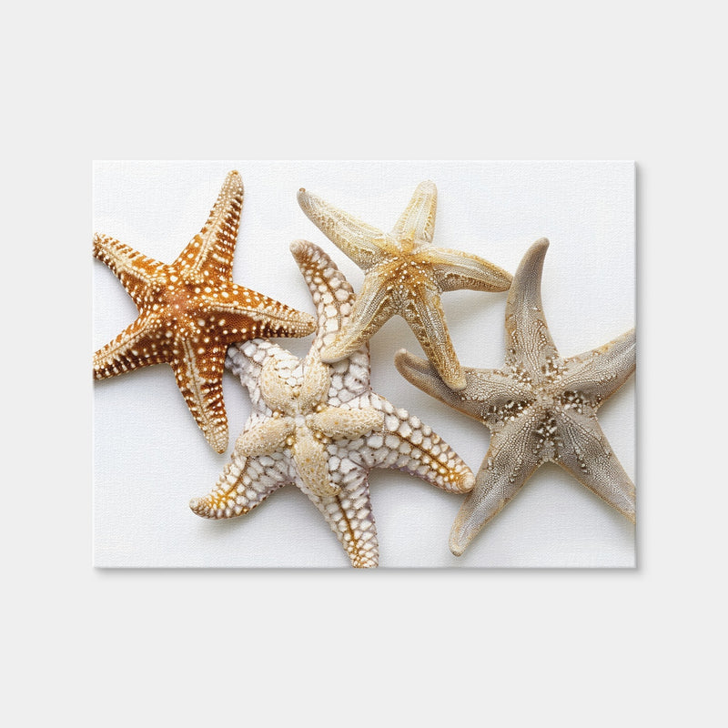 AUTO-MOCKUP WHITE | Starfishes | 1 Piece | Gallery Wrap | group=4x3