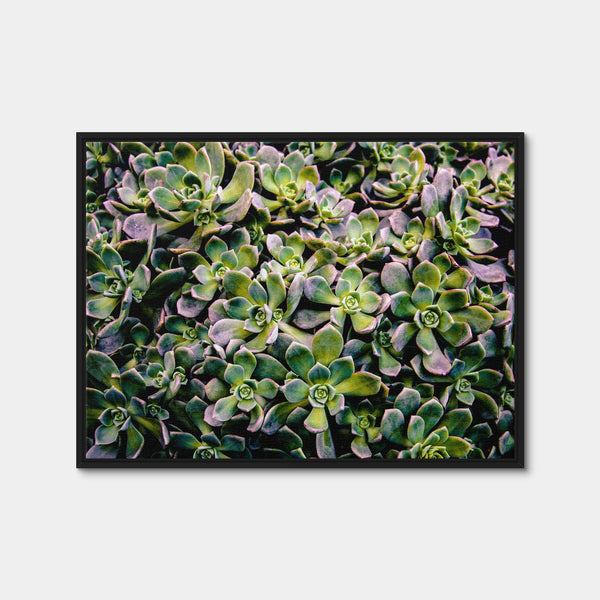 Succulents Wall Art — Framed Canvas Format preview
