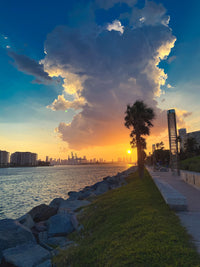 Sun Over Miami Wall Art