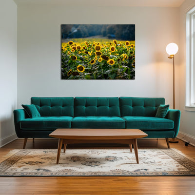 AUTO-MOCKUP ROOM | Sunflower Field