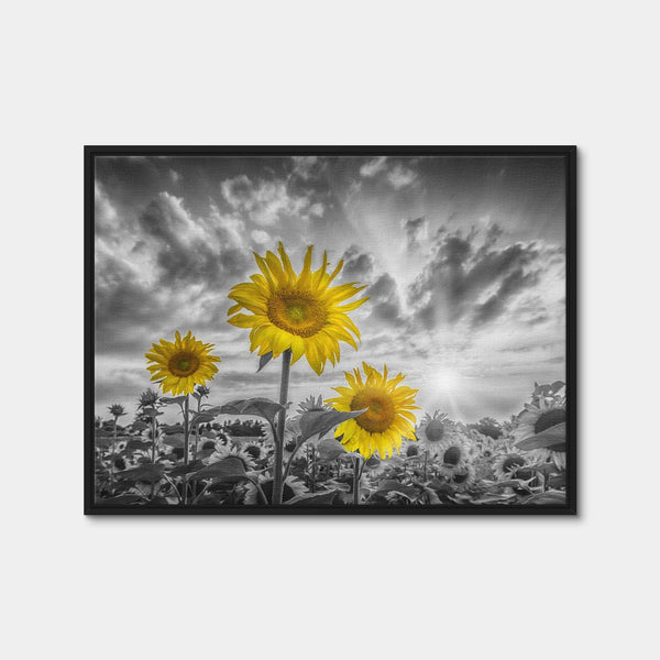 Sunflowers Yellow Color Pop Wall Art — Framed Canvas Format preview