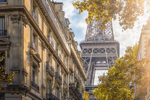 Sunlight In Paris Wall Art