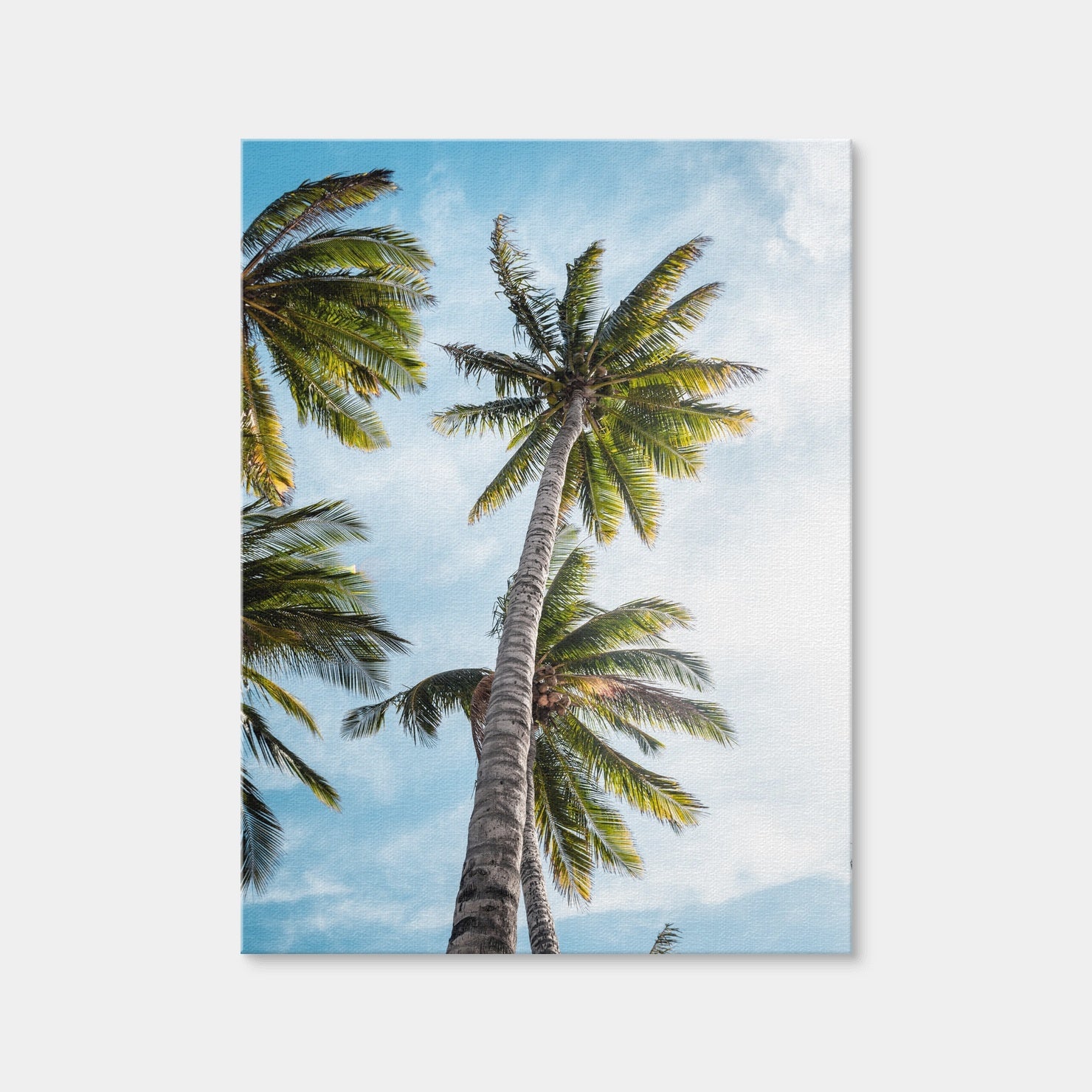 AUTO-MOCKUP WHITE | Sunny Palms | 1 Piece | Gallery Wrap | group=3x4