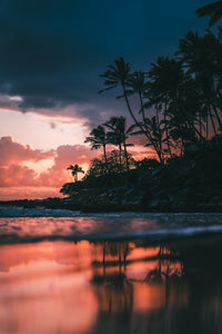 Sunrise from Shore Wall Art