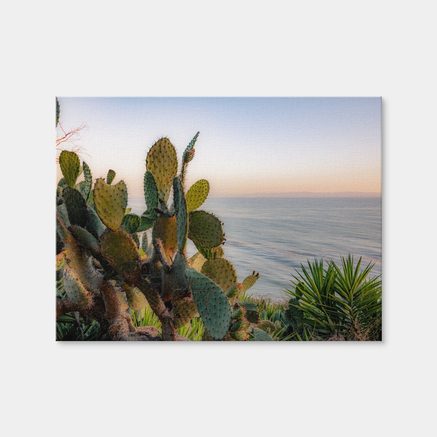 AUTO-MOCKUP WHITE | Sunset Cactus | 1 Piece | Gallery Wrap | group=4x3