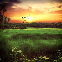 Sunset Landscape Wall Art