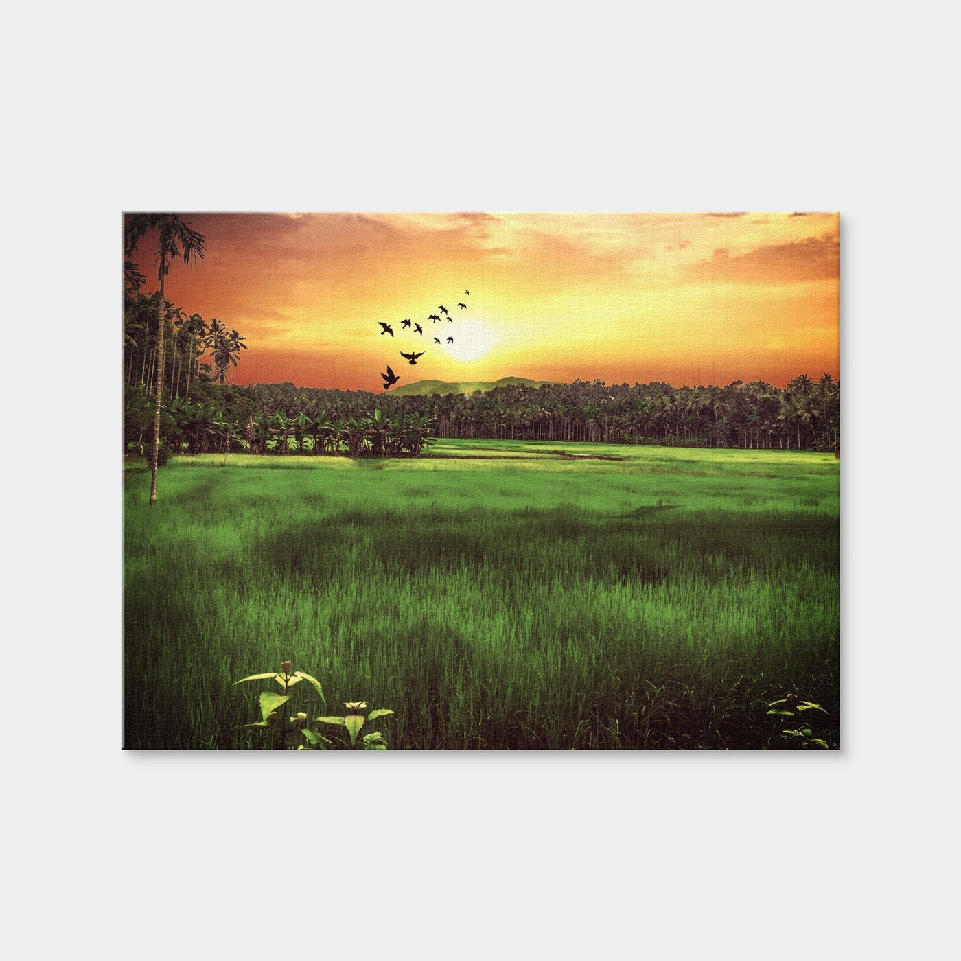 AUTO-MOCKUP WHITE | Sunset Landscape | 1 Piece | Gallery Wrap | group=4x3