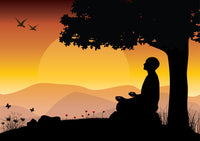 Sunset Meditation Wall Art