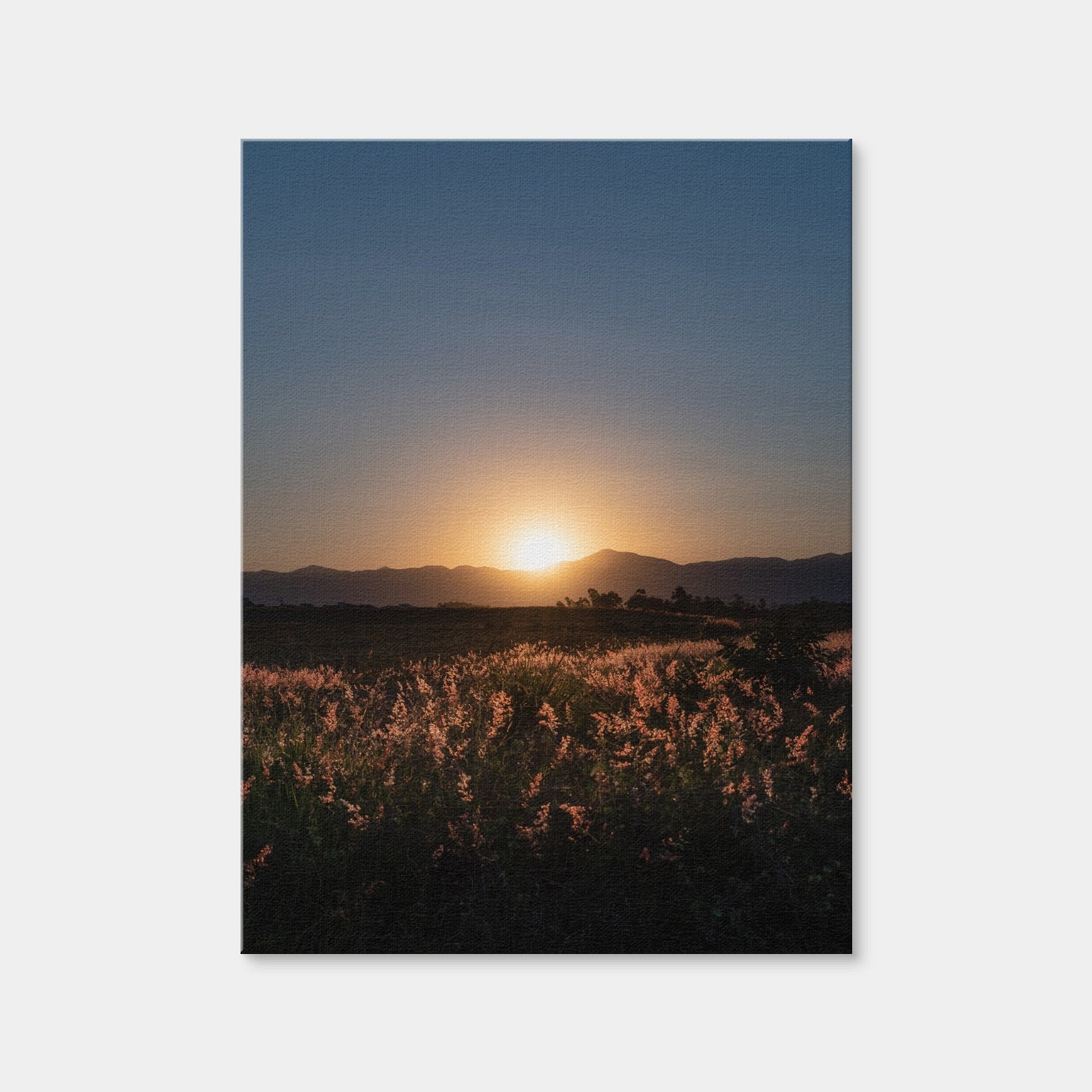 AUTO-MOCKUP WHITE | Sunset Over A Field of Flowers | 1 Piece | Gallery Wrap | group=3x4