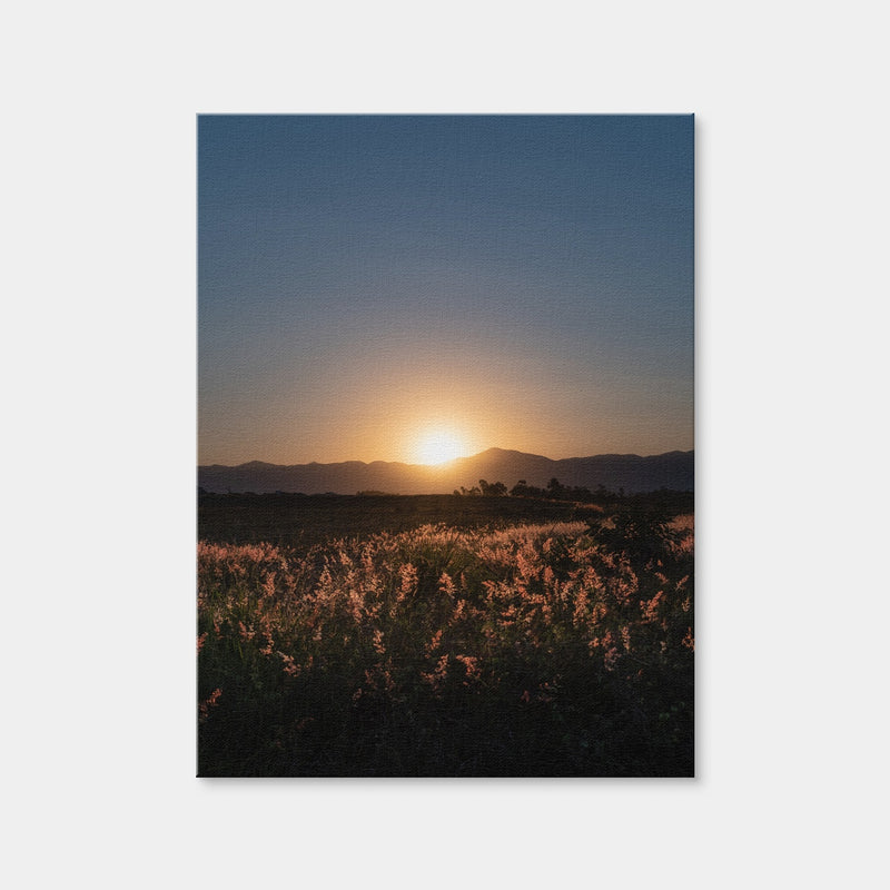 AUTO-MOCKUP WHITE | Sunset Over A Field of Flowers | 1 Piece | Gallery Wrap | group=3x4