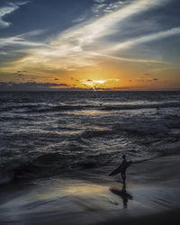 Sunset Surfer Wall Art
