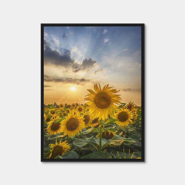 Sunset With Beautiful Sunflowers Wall Art — Framed Canvas Format preview