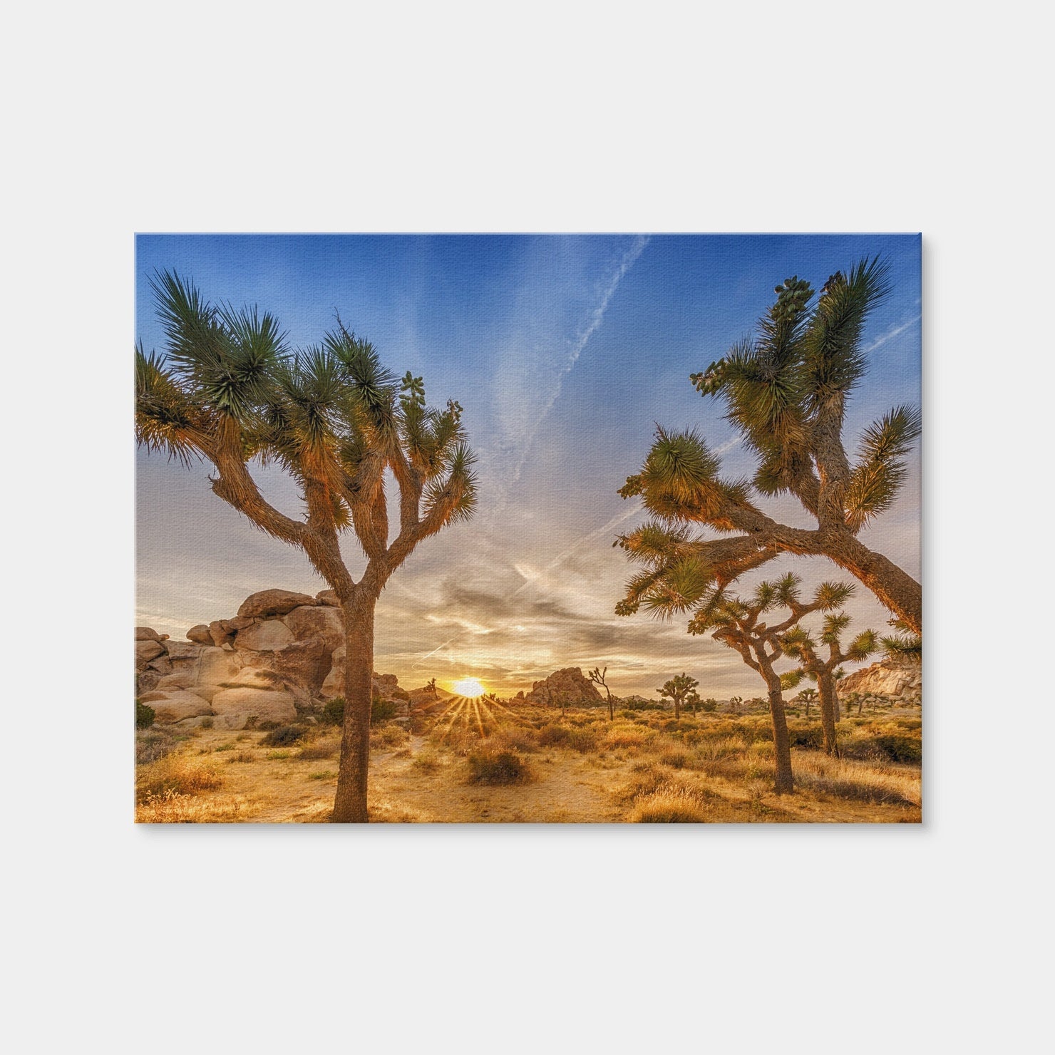 AUTO-MOCKUP WHITE | Sunset at Joshua Tree National Park | 1 Piece | Gallery Wrap | group=4x3