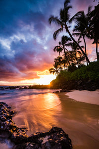 Sunset by the Beach Wall Art