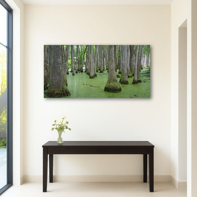 AUTO-MOCKUP ROOM | Swampland - Tallahassee