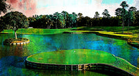 TPC Sawgrass Wall Art