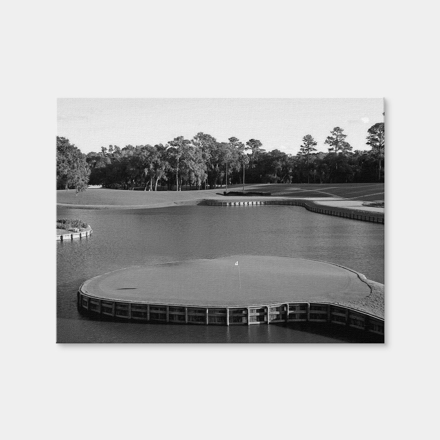 AUTO-MOCKUP WHITE | TPC Sawgrass Grayscale | 1 Piece | Gallery Wrap | group=4x3