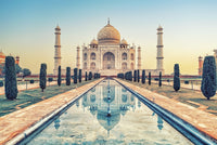Taj Mahal Mausoleum Wall Art