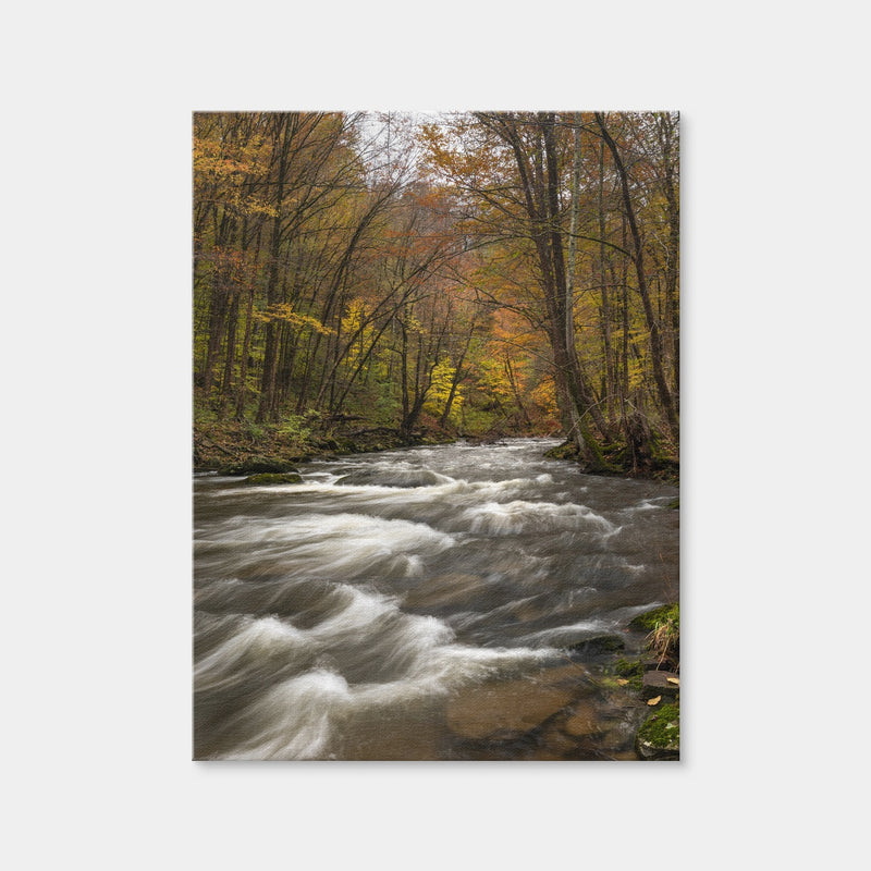 AUTO-MOCKUP WHITE | Tanner's River | 1 Piece | Gallery Wrap Canvas | group=3x4