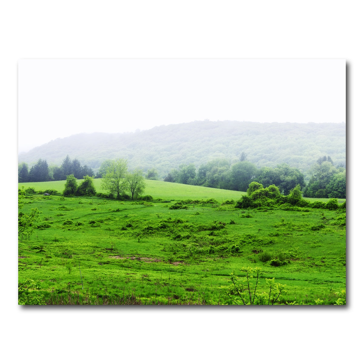AUTO-MOCKUP WHITE | Tarrywile Park | 1 Piece | Gallery Wrap Canvas | group=4x3