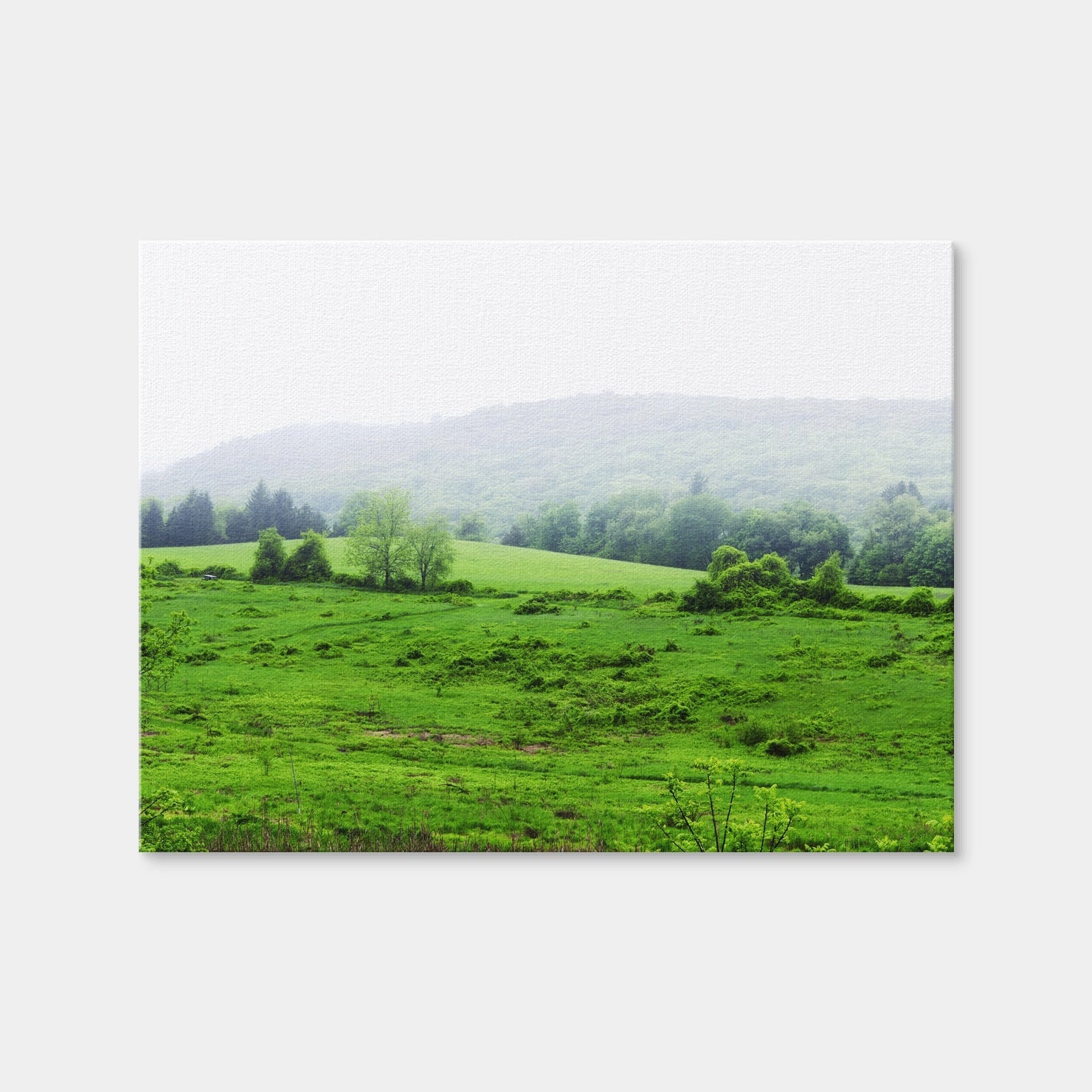 AUTO-MOCKUP WHITE | Tarrywile Park | 1 Piece | Gallery Wrap Canvas | group=4x3
