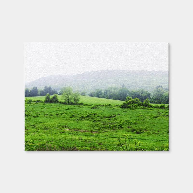 AUTO-MOCKUP WHITE | Tarrywile Park | 1 Piece | Gallery Wrap Canvas | group=4x3