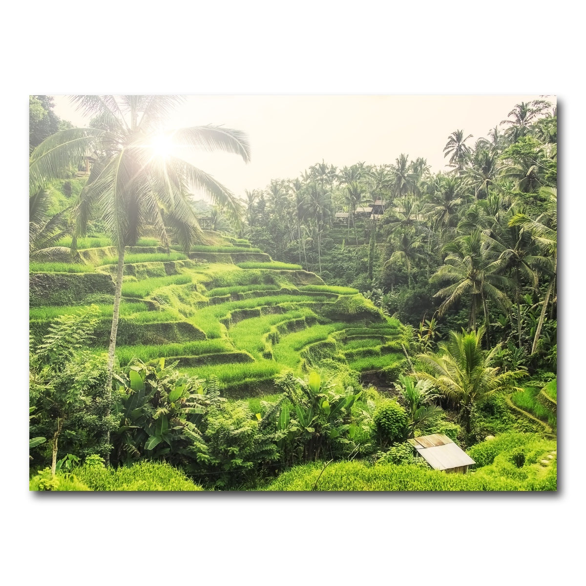Tegallalang Wall Art