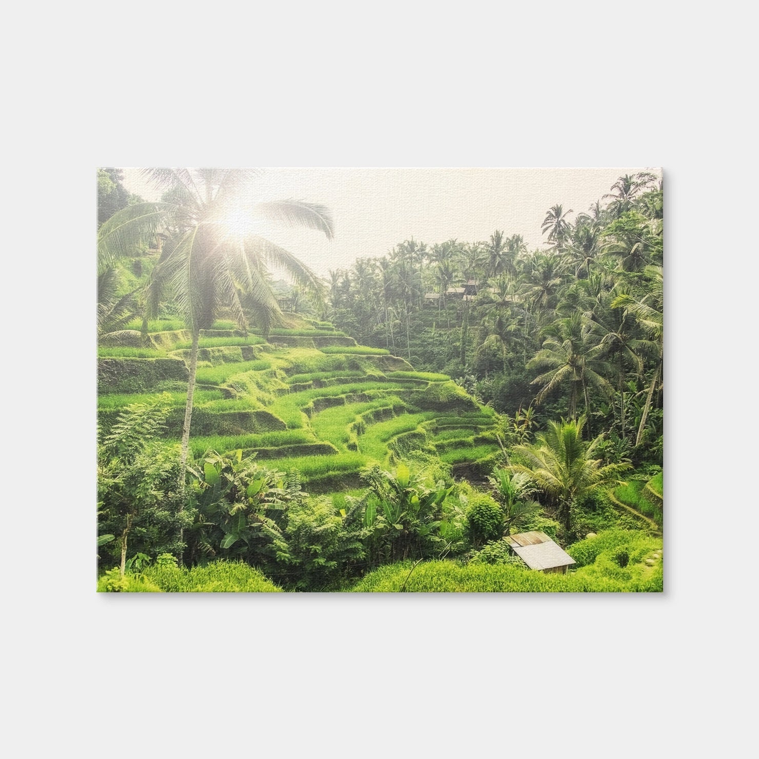 AUTO-MOCKUP WHITE | Tegallalang | 1 Piece | Gallery Wrap | group=4x3