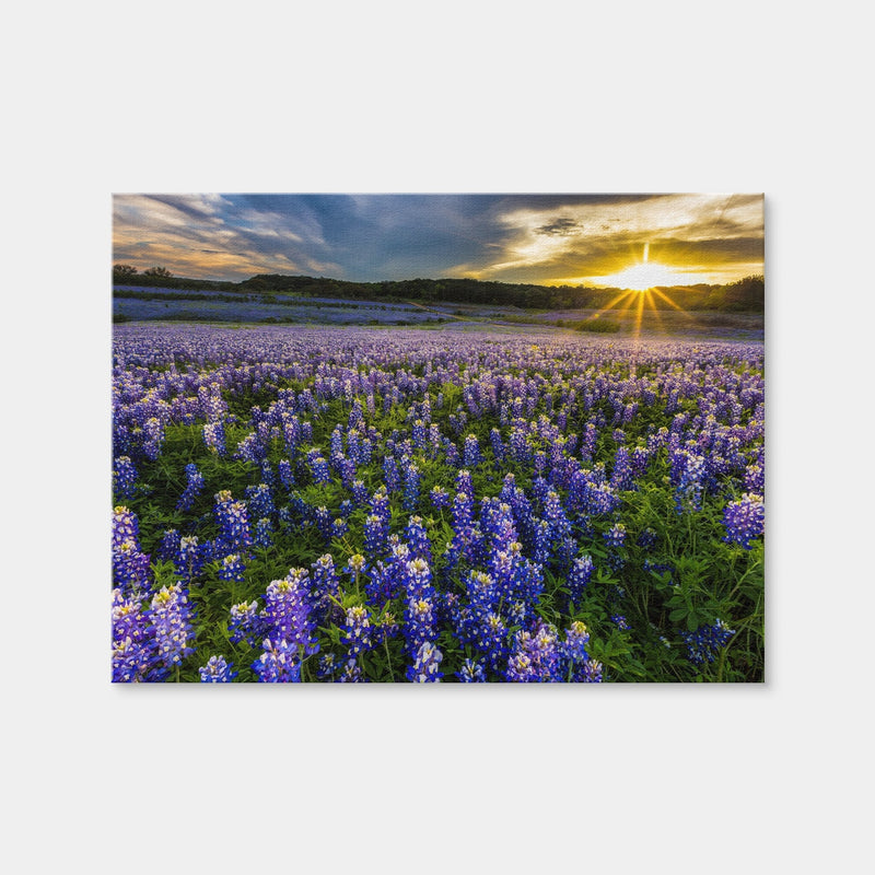 AUTO-MOCKUP WHITE | Texas Bluebonnet Field Muleshoe Bend | 1 Piece | Gallery Wrap Canvas | group=4x3
