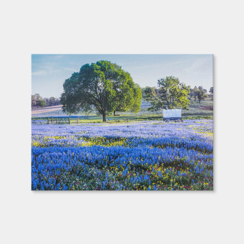 AUTO-MOCKUP WHITE | Texas Hill Country in Spring | 1 Piece | Gallery Wrap Canvas | group=4x3