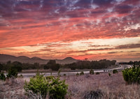 Texas Hill Country sunset Wall Art