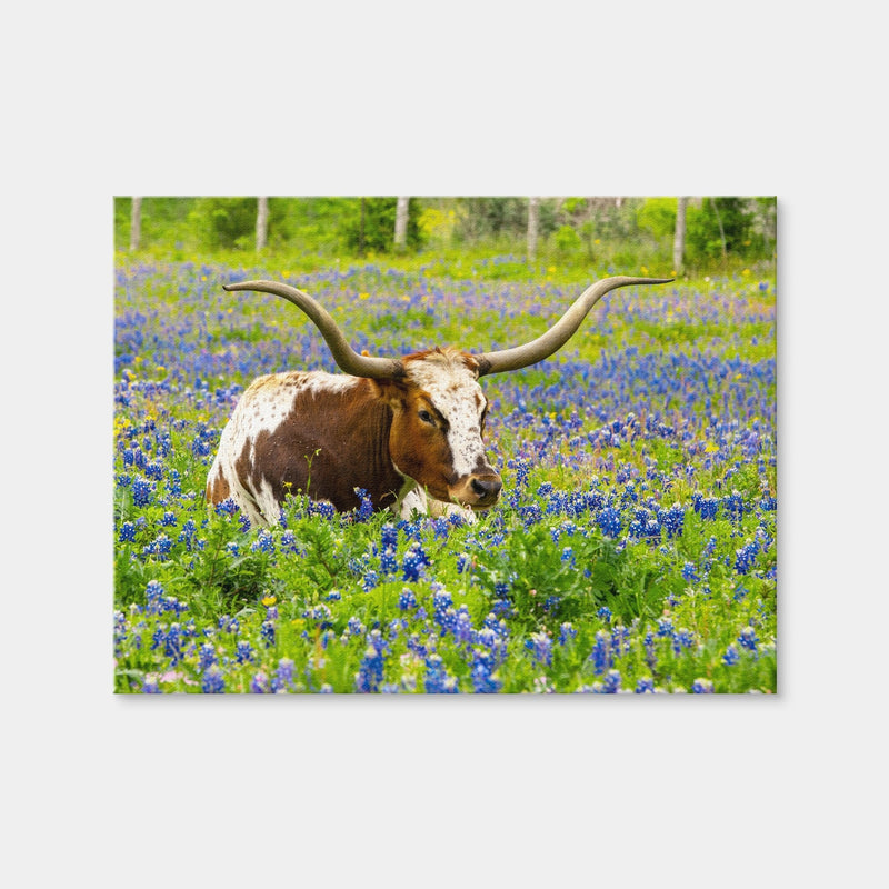 AUTO-MOCKUP WHITE | Texas Longhorn Bull | 1 Piece | Gallery Wrap Canvas | group=4x3