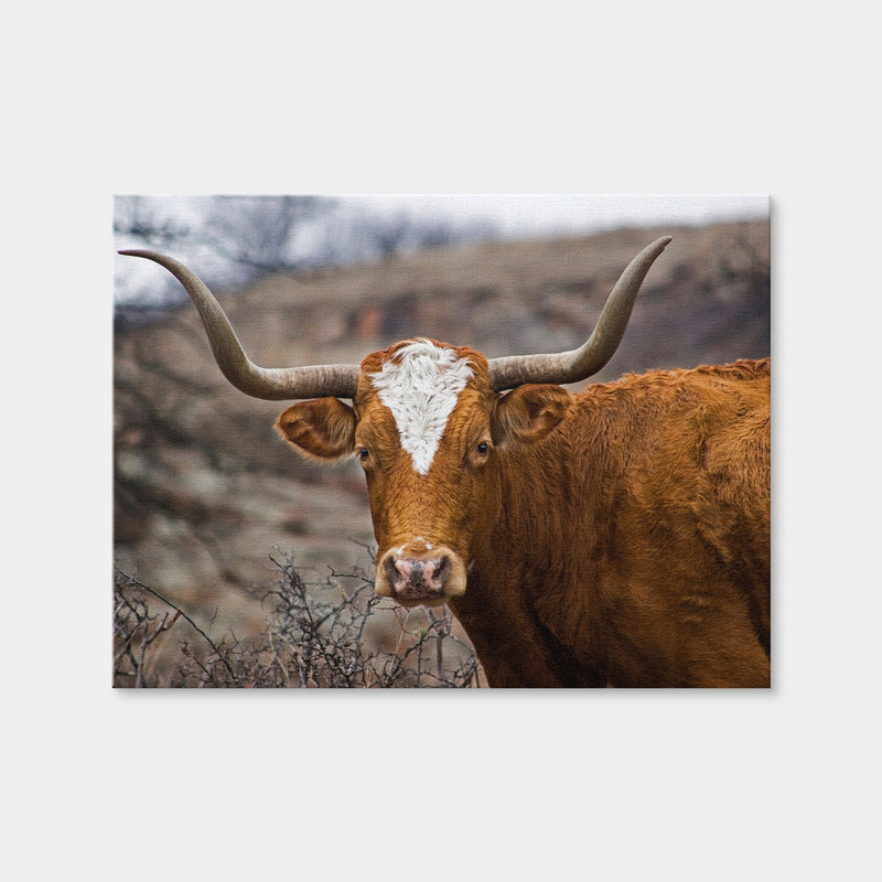 AUTO-MOCKUP WHITE | Texas Longhorn | 1 Piece | Gallery Wrap Canvas | group=4x3
