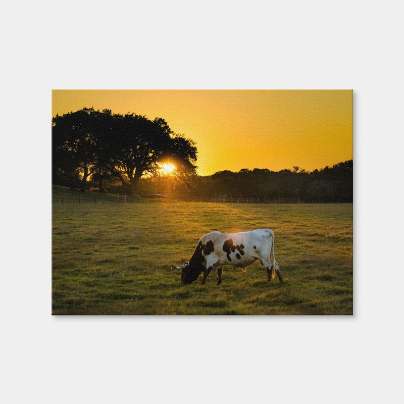 AUTO-MOCKUP WHITE | Texas Longhorn at Sunset | 1 Piece | Gallery Wrap Canvas | group=4x3