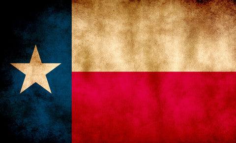Texas State Flag Wall Art