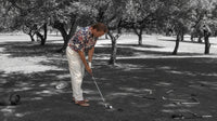 The 7-Iron Wall Art