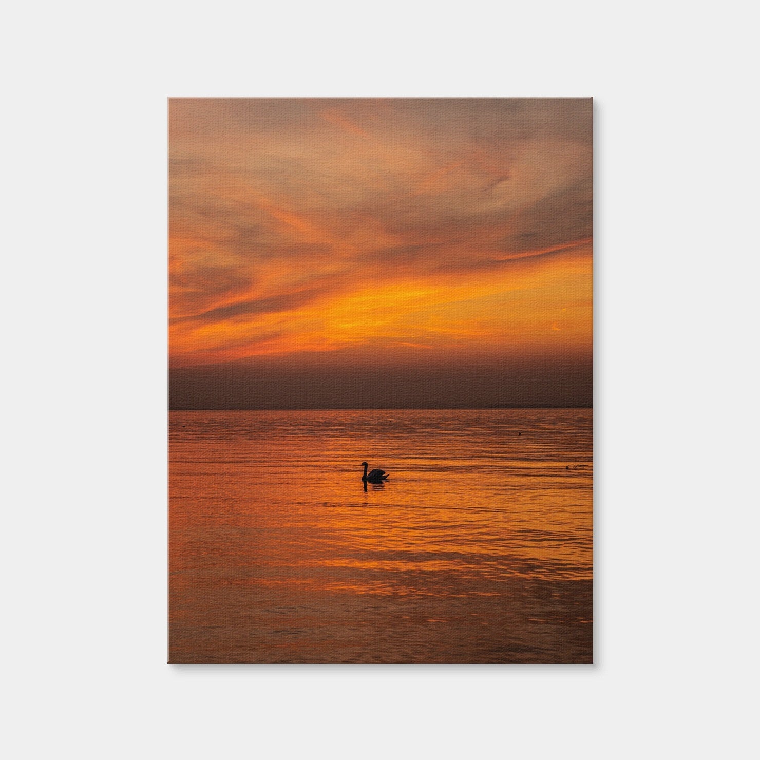 AUTO-MOCKUP WHITE | The Black Swan | 1 Piece | Gallery Wrap Canvas | group=3x4