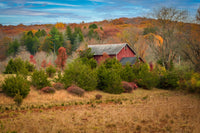 The Colors of Home Wall Art