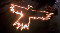 The Crow Fire Wall Art