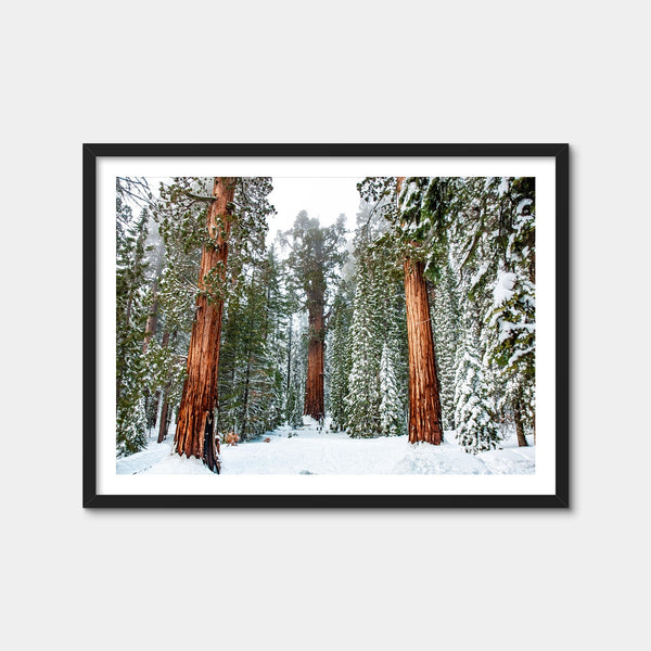 The General Wall Art — Framed Print Format preview