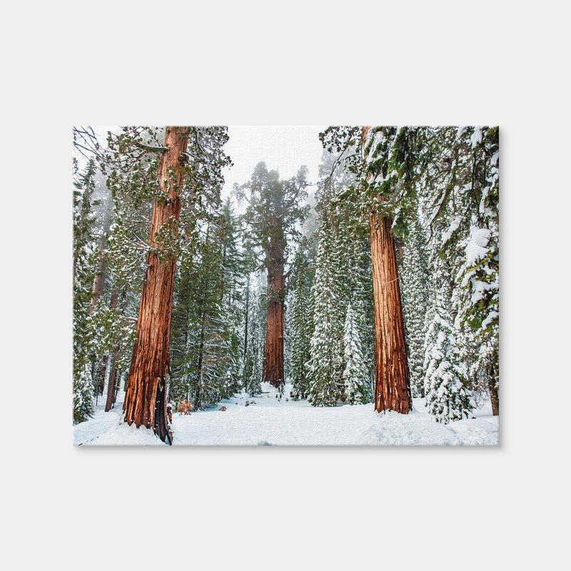 AUTO-MOCKUP WHITE | The General | 1 Piece | Gallery Wrap Canvas | group=4x3