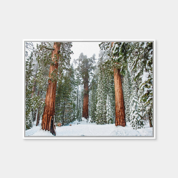 The General Wall Art — Framed Canvas Format preview